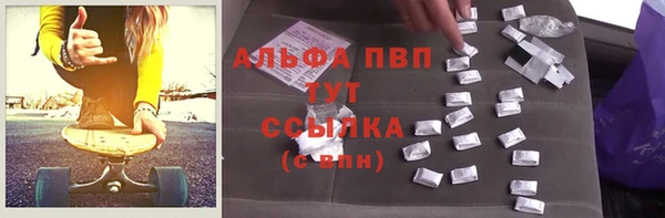 крисы Баксан