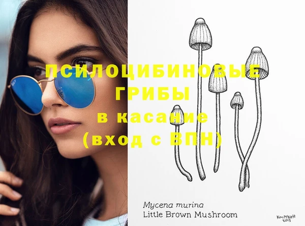 крисы Баксан