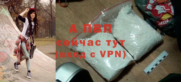 крисы Баксан
