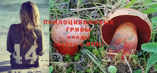 крисы Баксан