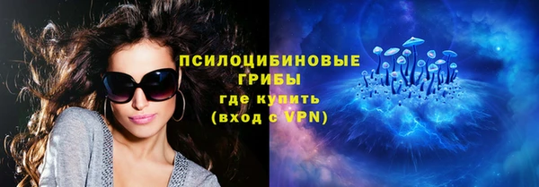 крисы Баксан